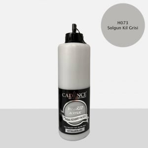 H073 Solgun Kil Grisi - Multisurfaces 500ML